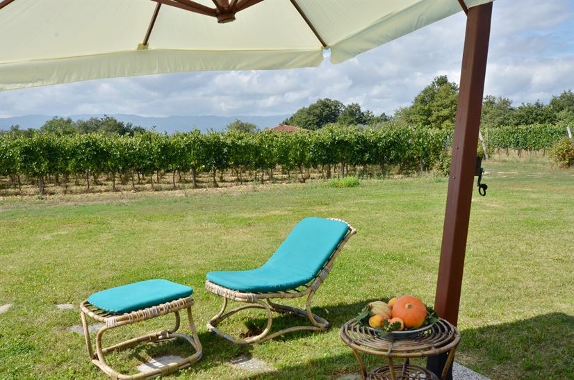 imgi_18_villadeicavalli_009