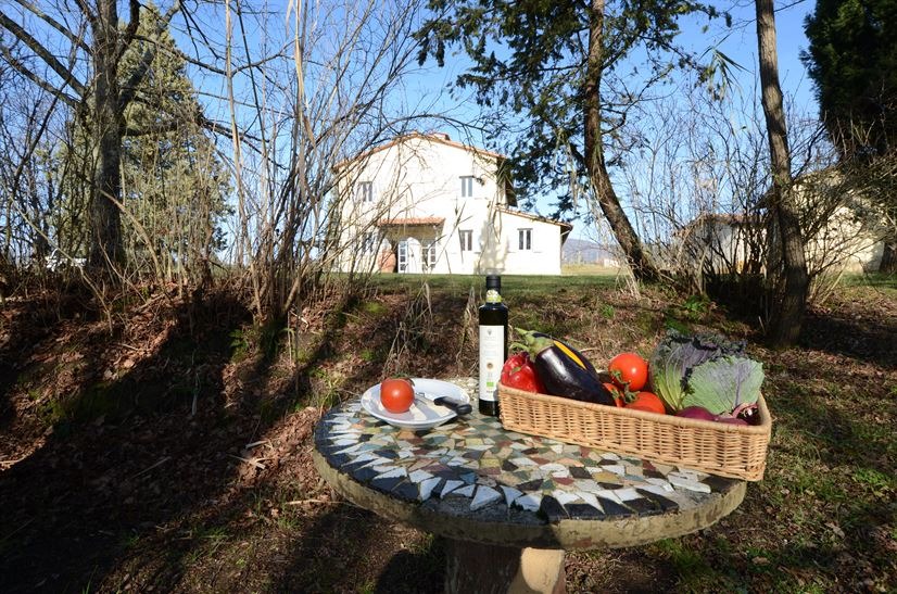 imgi_19_casa_campodonico_6_017