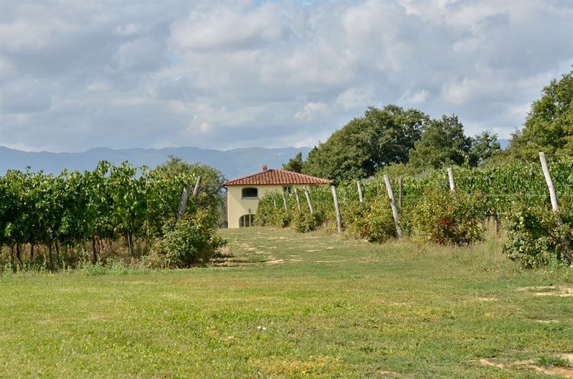 imgi_24_villadeicavalli_024