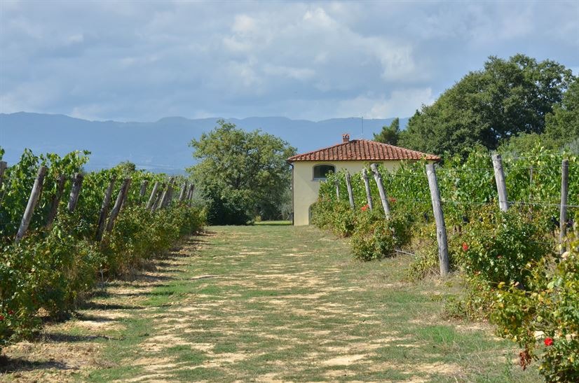 imgi_25_villadeicavalli_026