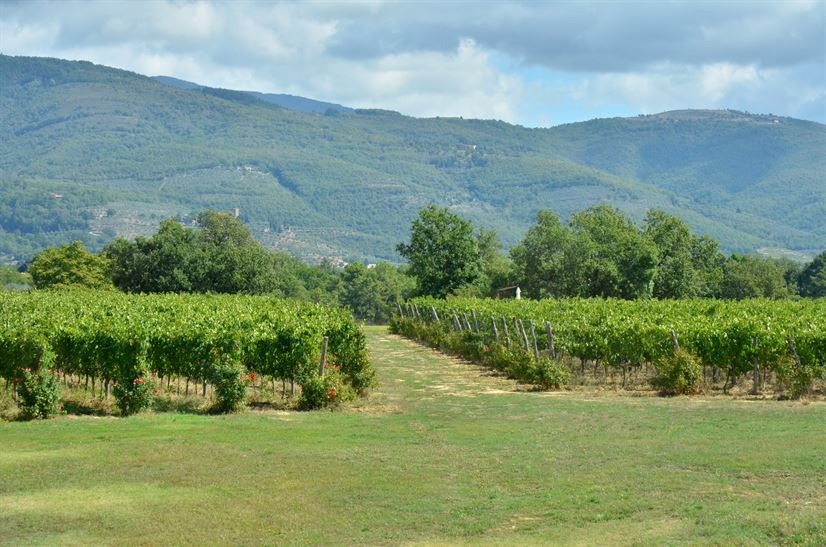 imgi_26_villadeicavalli_027