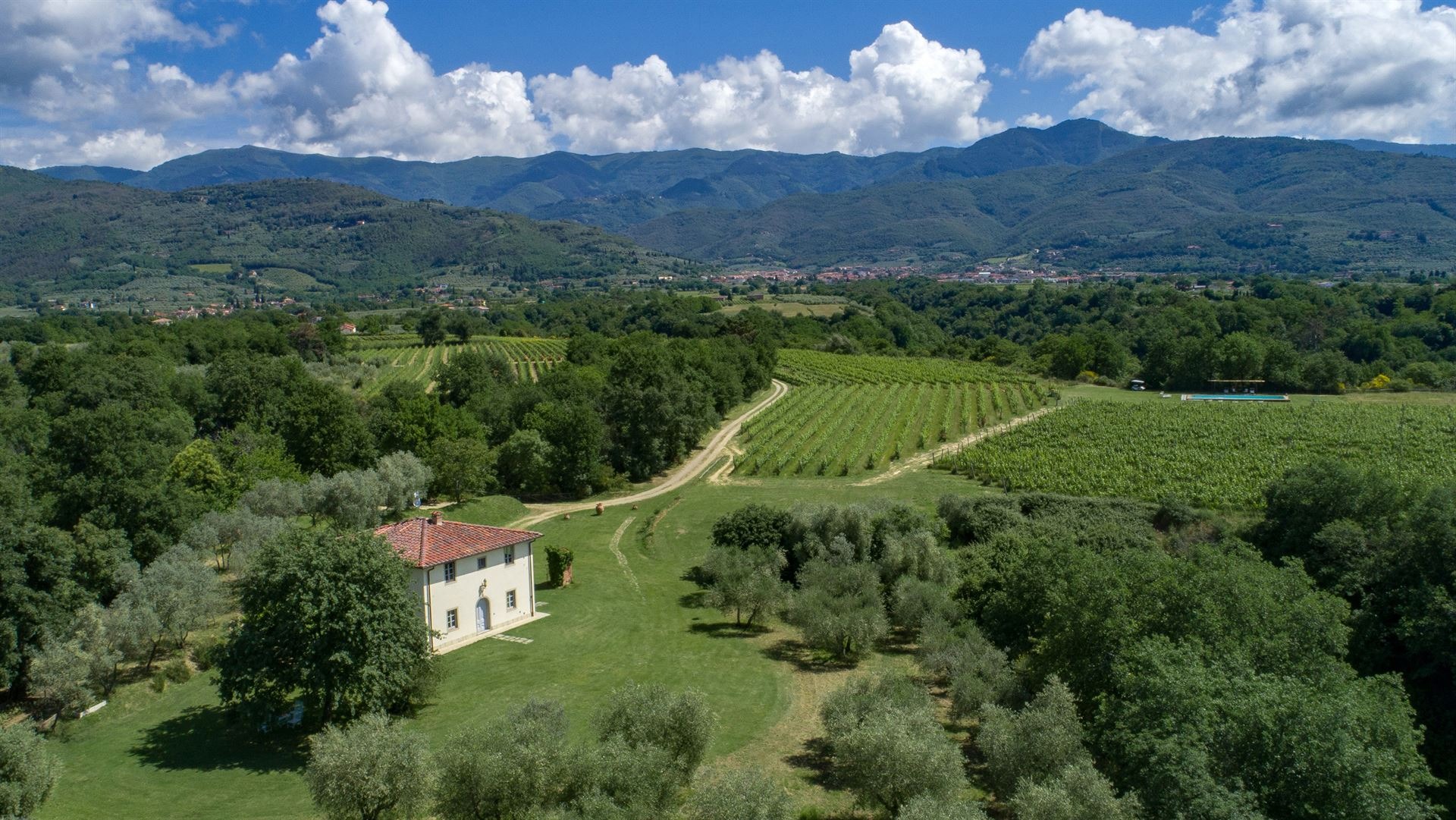 Villa dei cavalli (41)